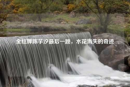 全红婵陈芋汐最后一跳，水花消失的奇迹