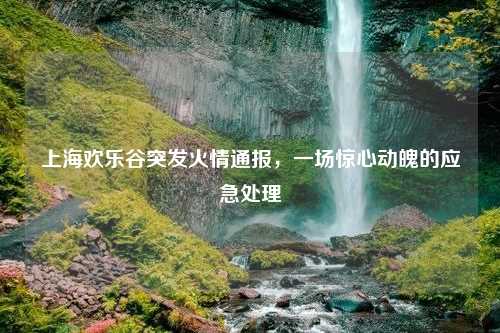 上海欢乐谷突发火情通报，一场惊心动魄的应急处理