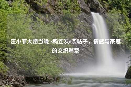 汪小菲大婚当晚 S妈连发6条帖子，情感与家庭的交织篇章