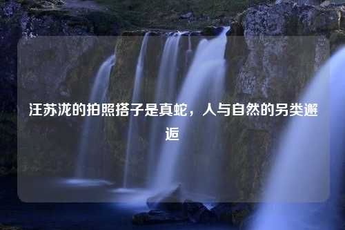 汪苏泷的拍照搭子是真蛇，人与自然的另类邂逅