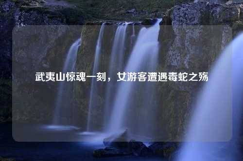 武夷山惊魂一刻，女游客遭遇毒蛇之殇