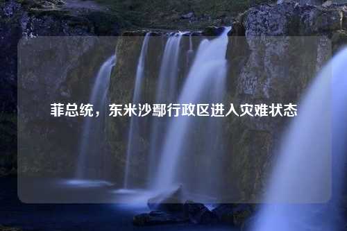 菲总统，东米沙鄢行政区进入灾难状态