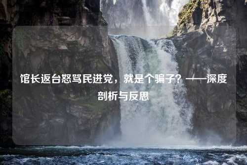 馆长返台怒骂民进党，就是个骗子？——深度剖析与反思